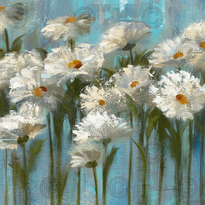 Daisies by the Lake