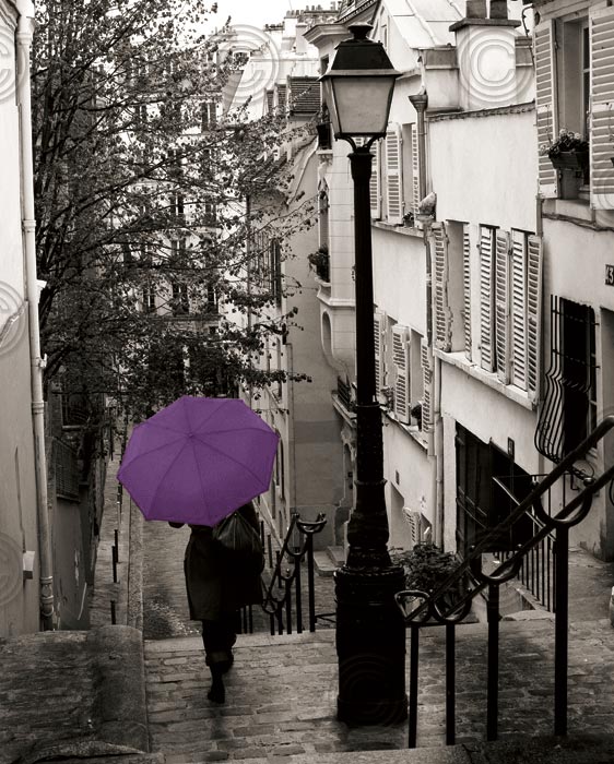 Paris Stroll Purple Umbrella Crop