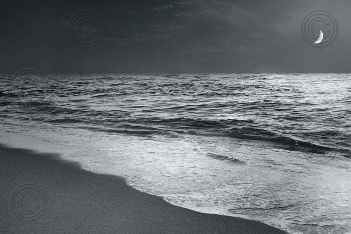 Moonrise Beach Black and White