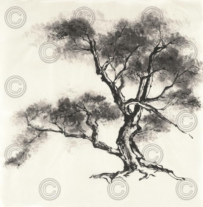 Sumi Tree II